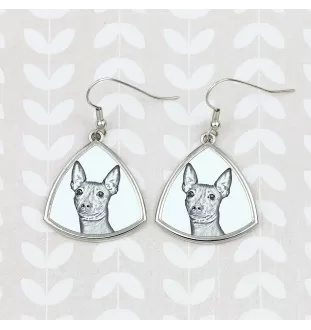 American Hairless Terrier, Amerikanischer Nackthund - Hund Ohrringe, hängende Ohrringe mit Bild, personalisierter Schmuck mit dem Aufdruck der Marke Art-Dog