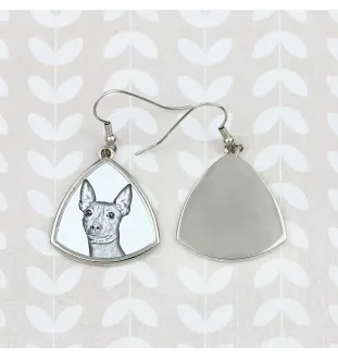 American Hairless Terrier - boucles d'oreilles avec chien, boucles d'oreilles pendantes avec photo, bijoux personnalisés avec impression de la marque Art-Dog