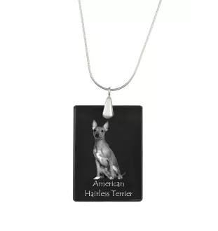 American Hairless Terrier - Crystal pendant with dog, silver necklace with photo, personalised pendant by Art-Dog brand