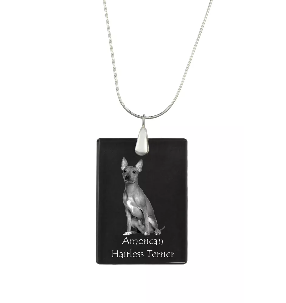 American Hairless Terrier - Crystal pendant with dog, silver necklace with photo, personalised pendant by Art-Dog brand