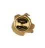 American Staffordshire Terrier, Amstaff - Hundebrosche in dekorativer Box, elegante vergoldete Anstecknadel, Jackenbrosche der Marke Art-Dog