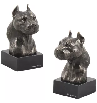 Amerykański Staffordshire terrier głowa na kamieniu Art-Dog