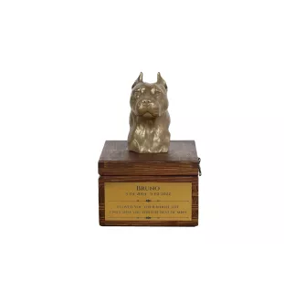 Amerykański Staffordshire terrier urna na skrzynce brązowa Art-Dog