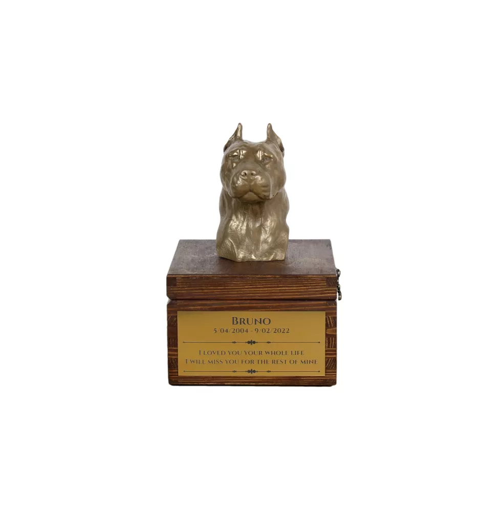Amerykański Staffordshire terrier urna na skrzynce brązowa Art-Dog