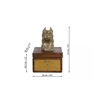 Amerykański Staffordshire terrier urna na skrzynce brązowa Art-Dog