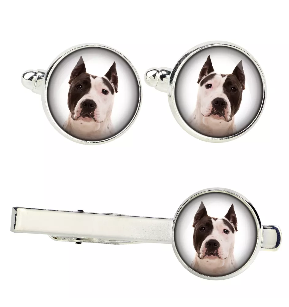 American Staffordshire Terrier, Amstaff, Am staff, Staff - Boutons de manchette et cravate avec votre photo, accessoire de costume, bijoux pour hommes de la marque Art-Dog.