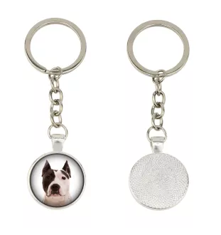Amerykański Staffordshire terrier brelok w pudełku ze zdjęciem Art-Dog