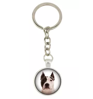 Amerykański Staffordshire terrier brelok w pudełku ze zdjęciem Art-Dog
