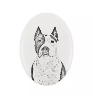 Amerykański Staffordshire terrier płyta nagrobna ze zdjęciem psa Art-Dog