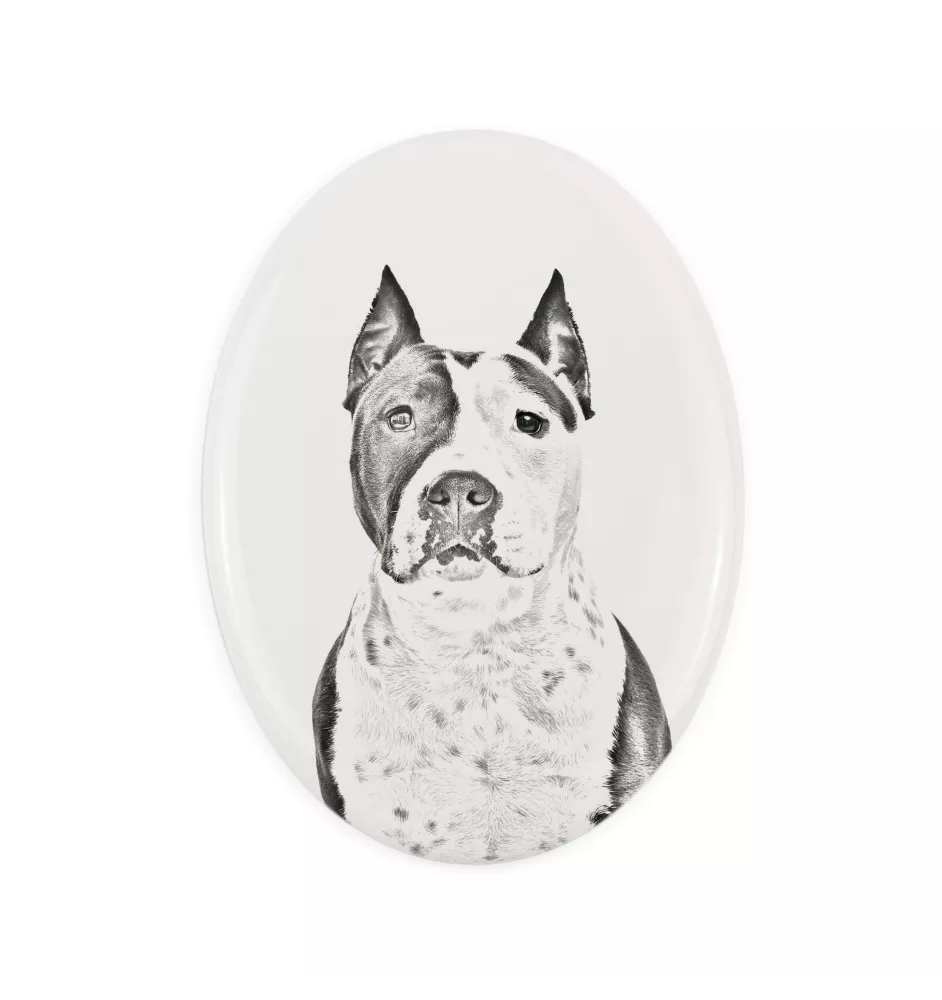 Amerykański Staffordshire terrier płyta nagrobna ze zdjęciem psa Art-Dog
