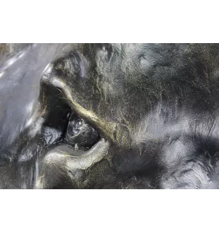 American Staffordshire Terrier, Amstaff - Hundebüste, großer Hundekopf für den Garten, einzigartige Wohnzimmerdekoration der Marke Art-Dog