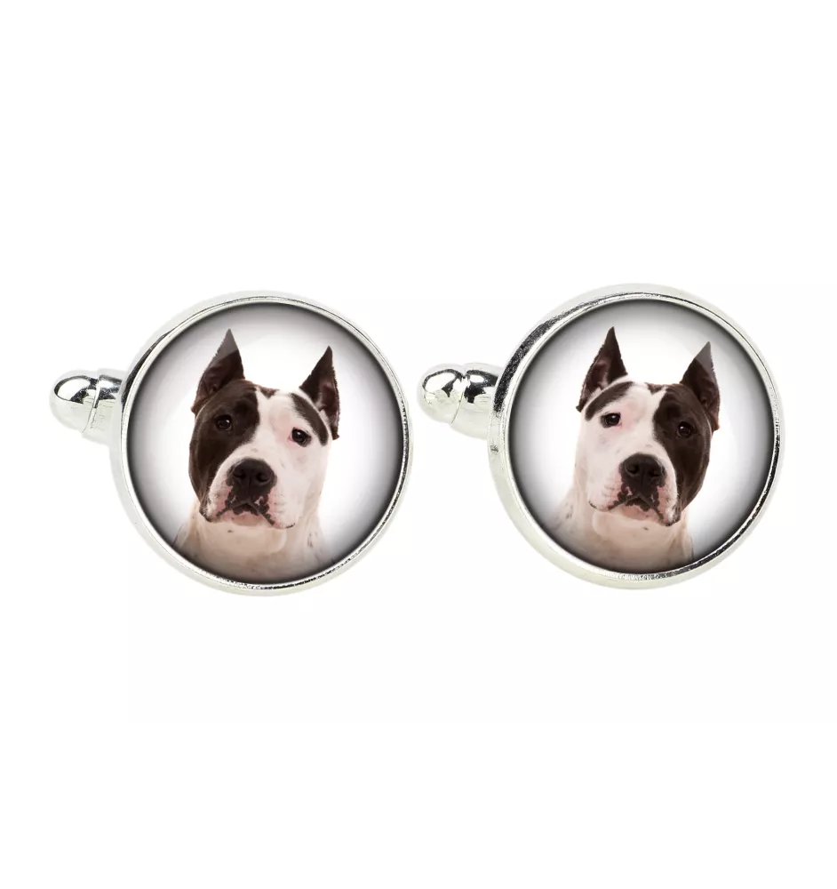 American Staffordshire Terrier, Amstaff - Manschettenknöpfe, Hemdverzierung, Hemdanhänger der Marke Art-Dog