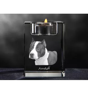 Amerykański Staffordshire terrier świecznik kryształowy z psem Art-Dog