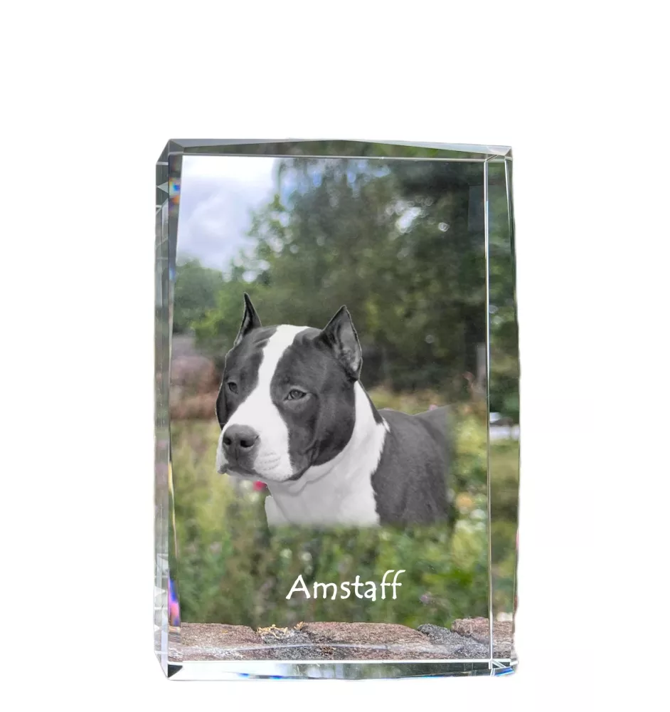 American Staffordshire Terrier, Amstaff - Kristall mit einem Hundebild, Bild im Glas, moderne Ausstellung des Art-Dog-Bildes.