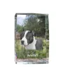 American Staffordshire Terrier, Amstaff - crystal with a picture of a dog, photo in glass, modern exhibition of Art-Dog brand photo