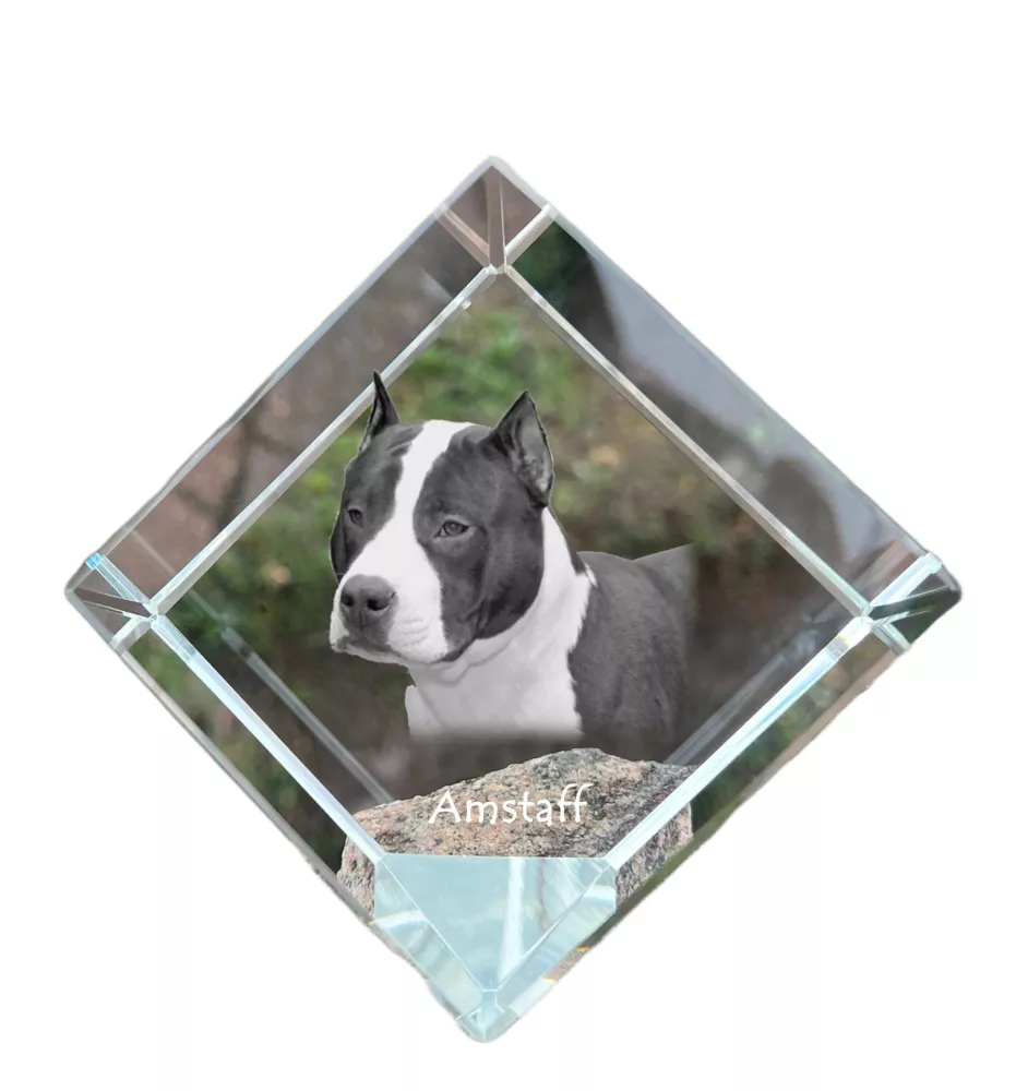 American Staffordshire Terrier, Amstaff - crystal cube with a photo, photo of a horse in crystal, cubic paperweight from Art-Dog brand