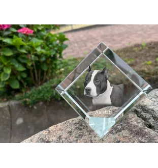 American Staffordshire Terrier, Amstaff - crystal cube with a photo, photo of a horse in crystal, cubic paperweight from Art-Dog brand