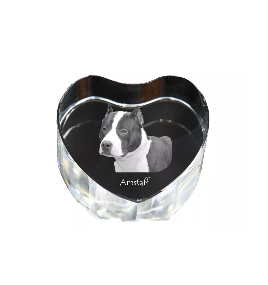American Staffordshire Terrier, Amstaff, Am staff, Staff - une photo de chien dans un cristal, un cœur en cristal, un cadre photo exceptionnel de la marque Art-Dog