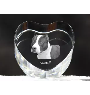 Amerykański Staffordshire terrier serce kryształowe z psem Art-Dog