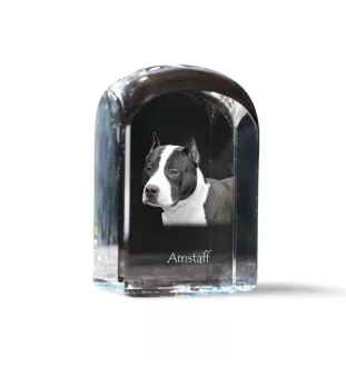 American Staffordshire Terrier, Amstaff, Am staff, Staff - un cube de cristal avec une photo, une photo de chien dans le cristal, un presse-papiers cubique de la marque Art-Dog