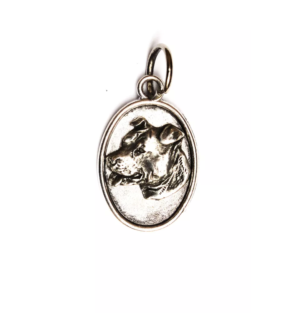American Staffordshire Terrier, Amstaff - necklace with a dog, pendant for a dog mom, unique jewelry from the Art-Dog brand