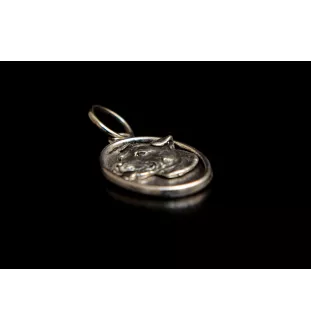 American Staffordshire Terrier, Amstaff - necklace with a dog, pendant for a dog mom, unique jewelry from the Art-Dog brand