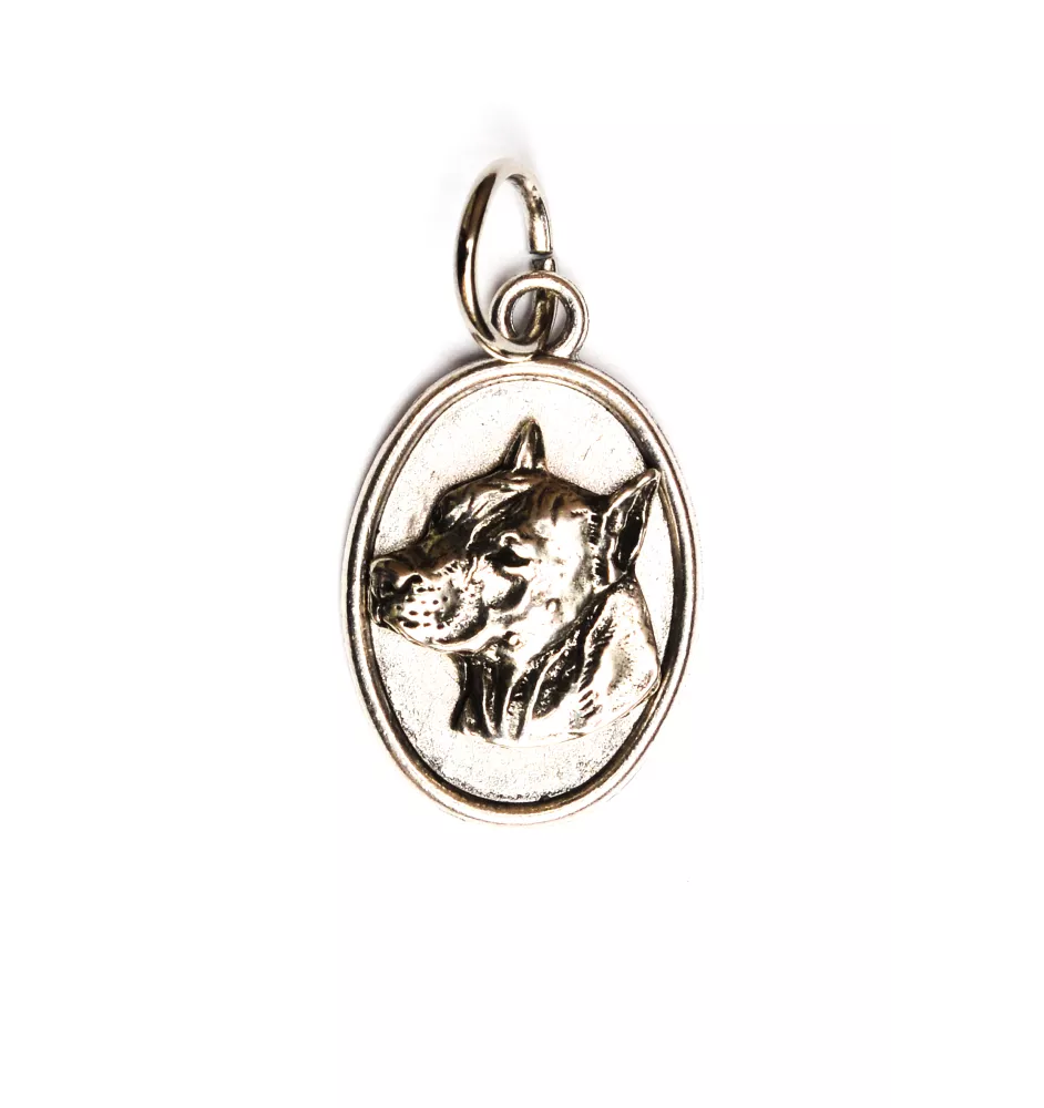 Amerykański Staffordshire terrier naszyjnik z medalikiem Art-Dog