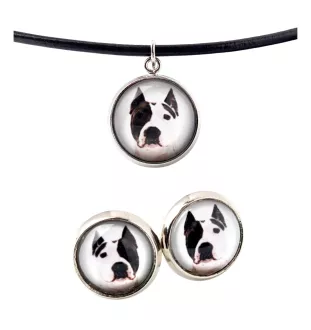 Amerykański Staffordshire terrier naszyjnik i kolczyki ze zdjęciem Art-Dog