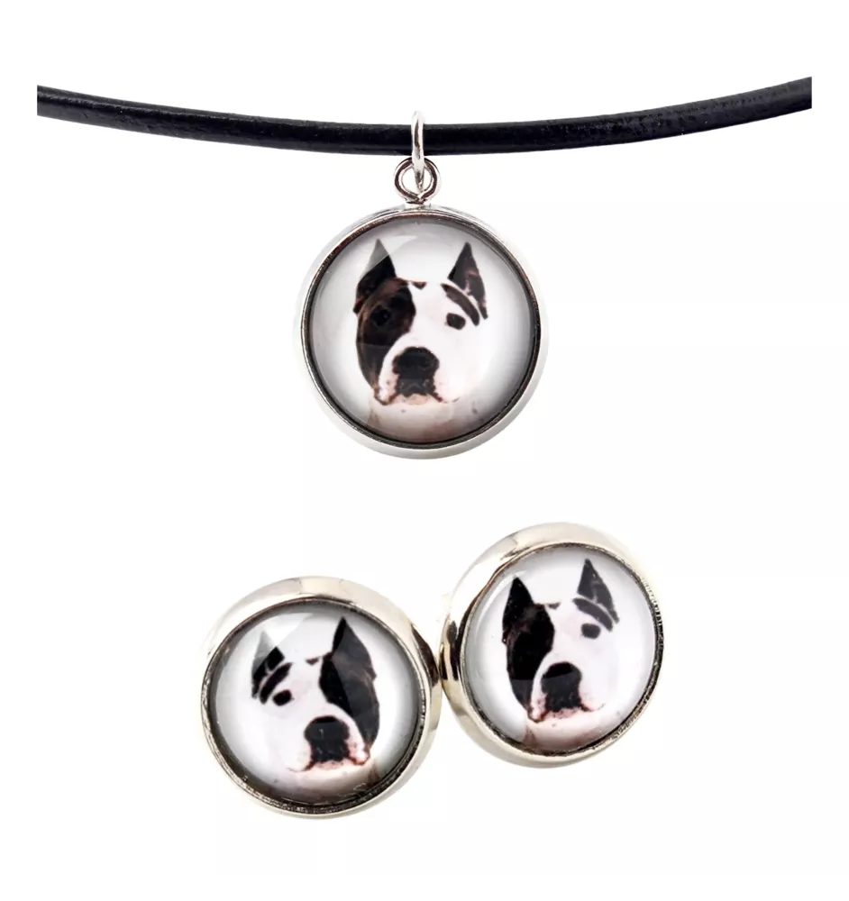 American Staffordshire Terrier, Amstaff, Am staff, Staff - boîte à bijoux avec votre photo, ensemble collier et boucles d'oreilles, produits personnalisés de la marque Art-Dog