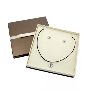 American Staffordshire Terrier, Amstaff - jewelry with your photo box, set of necklace and earrings, personalized products from the Art-Dog brand