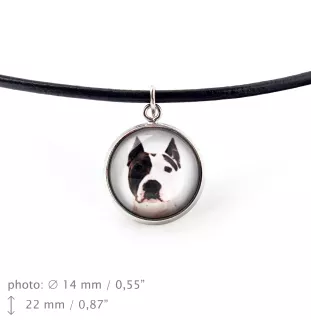 Amerykański Staffordshire terrier naszyjnik i kolczyki ze zdjęciem Art-Dog