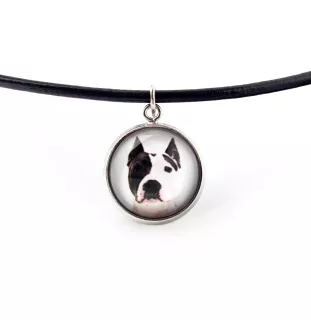 American Staffordshire Terrier, Amstaff - jewelry with your photo box, set of necklace and earrings, personalized products from the Art-Dog brand