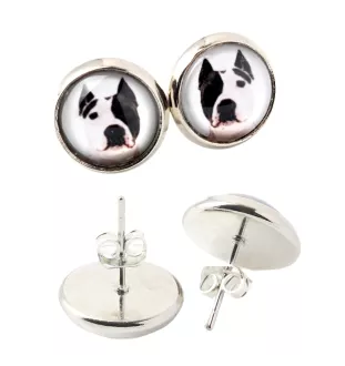 American Staffordshire Terrier, Amstaff, Am staff, Staff - boucles d'oreilles dans une boîte, votre photo, bijoux faits à la main, produit de la marque Art-Dog.