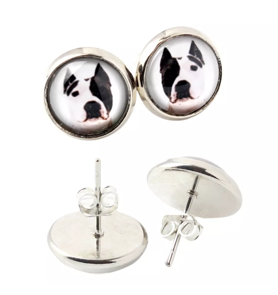 American Staffordshire Terrier, Amstaff, Am staff, Staff - boucles d'oreilles dans une boîte, votre photo, bijoux faits à la main, produit de la marque Art-Dog.