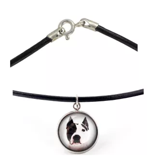 American Staffordshire Terrier, Amstaff - Halskette in einer Schachtel, elegante Verzierung, Anhänger der Marke Art-Dog