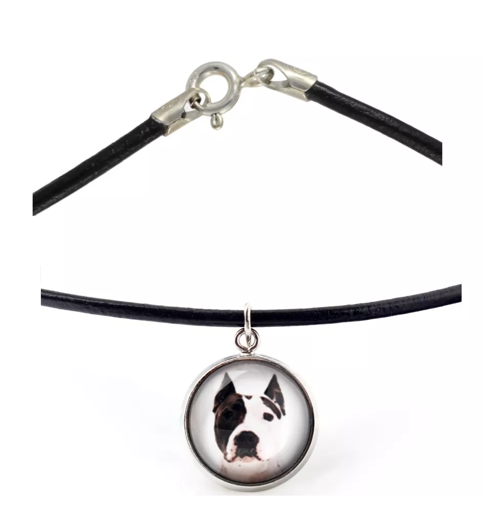 American Staffordshire Terrier, Amstaff - Halskette in einer Schachtel, elegante Verzierung, Anhänger der Marke Art-Dog