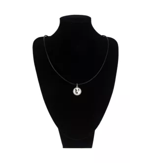 American Staffordshire Terrier, Amstaff, Am staff, Staff - collier dans une boîte, élégant bijou, pendentif de la marque Art-Dog