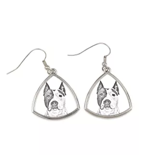 American Staffordshire Terrier, Amstaff, Am staff, Staff - boucles d'oreilles avec chien, boucles d'oreilles pendantes avec photo, bijoux personnalisés avec impression de la marque Art-Dog