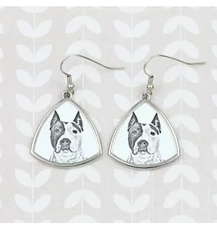 Amerykański Staffordshire terrier kolczyki ze zdjęciem psa Art-Dog