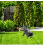 French Bulldog, Frenchie II - Life-size dog statue, 1:1 scale figure, statue for the garden by Art-Dog