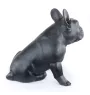 French Bulldog, Frenchie III - Life-size dog statue, 1:1 scale figure, statue for the garden by Art-Dog