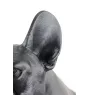 French Bulldog, Frenchie III - Life-size dog statue, 1:1 scale figure, statue for the garden by Art-Dog