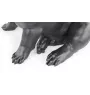 French Bulldog, Frenchie III - Life-size dog statue, 1:1 scale figure, statue for the garden by Art-Dog