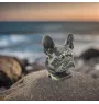 Bouledogue français - urne pour cendres de chien, buste de chien, grande tête de chien pour le jardin par Art-Dog