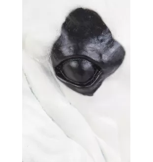 Bouledogue français I - urne pour cendres de chien, buste de chien, grande tête de chien pour le jardin par Art-Dog