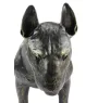 Bull Terrier, Bullterrier - Lebensgroße Hundestatue, Figur im Maßstab 1:1, Statue für den Garten von Art-Dog