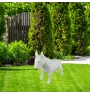 Bull Terrier I - Statue de chien à l'échelle 1:1, statue pour le jardin par Art-Dog