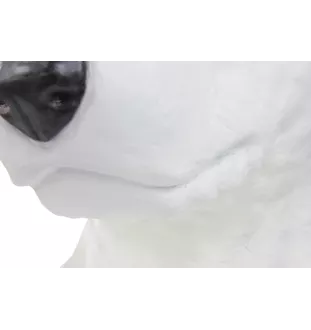 Bull Terrier I - buste de chien, grande tête de chien pour le jardin, décoration de salon unique par la marque Art-Dog