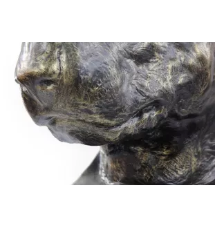 Bull Terrier, Bullterrier - Urne für Hundeasche, Hundebüste, großer Hundekopf für den Garten von Art-Dog