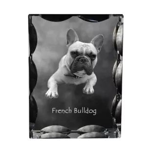 Französische Bulldogge - Kristall mit einem Hundebild, Glasstatuette mit einem Bild, einzigartiger Bilderrahmen der Marke Art-Dog